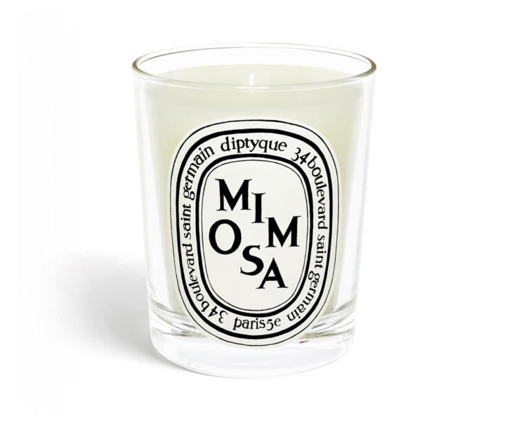 Diptyque Mimosa Scented Candle – Merchant Manila