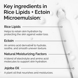 The Ordinary Rice Lipids + Ectoin Microemulsion